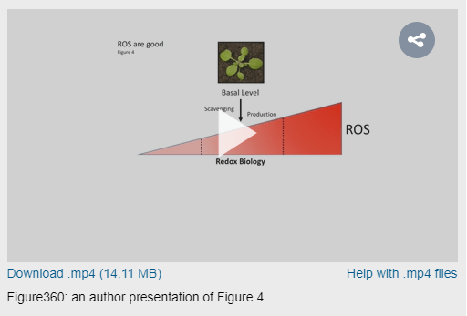 Video rendering of a figure for Figure360